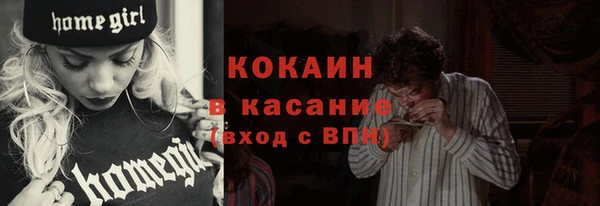 прущие грибы Алексеевка
