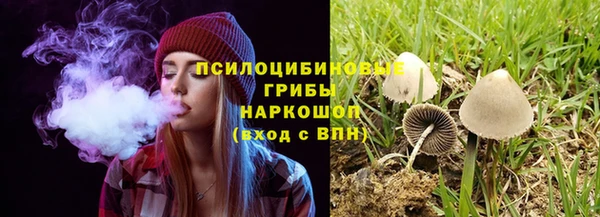 прущие грибы Алексеевка