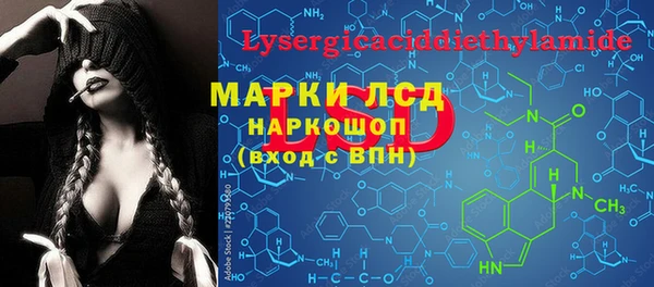 прущие грибы Алексеевка