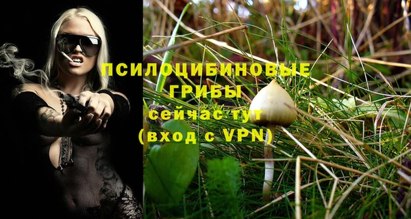первитин Алексин