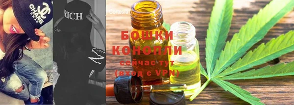 ГАЛЛЮЦИНОГЕННЫЕ ГРИБЫ Магадан