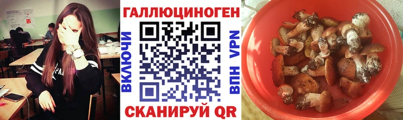 как найти   Бийск  Галлюциногенные грибы прущие грибы 