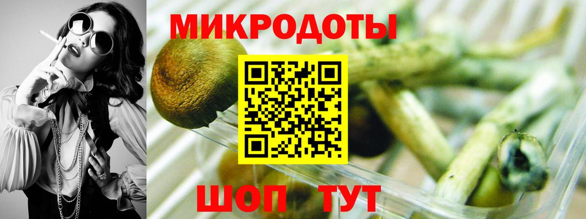 Галлюциногенные грибы прущие грибы  Вход с VPN  Бийск 